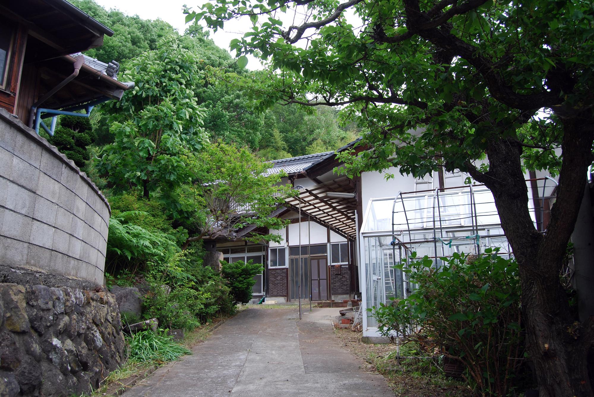 入口からの写真