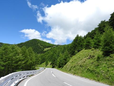 チェリーパークラインの舗装道路の写真