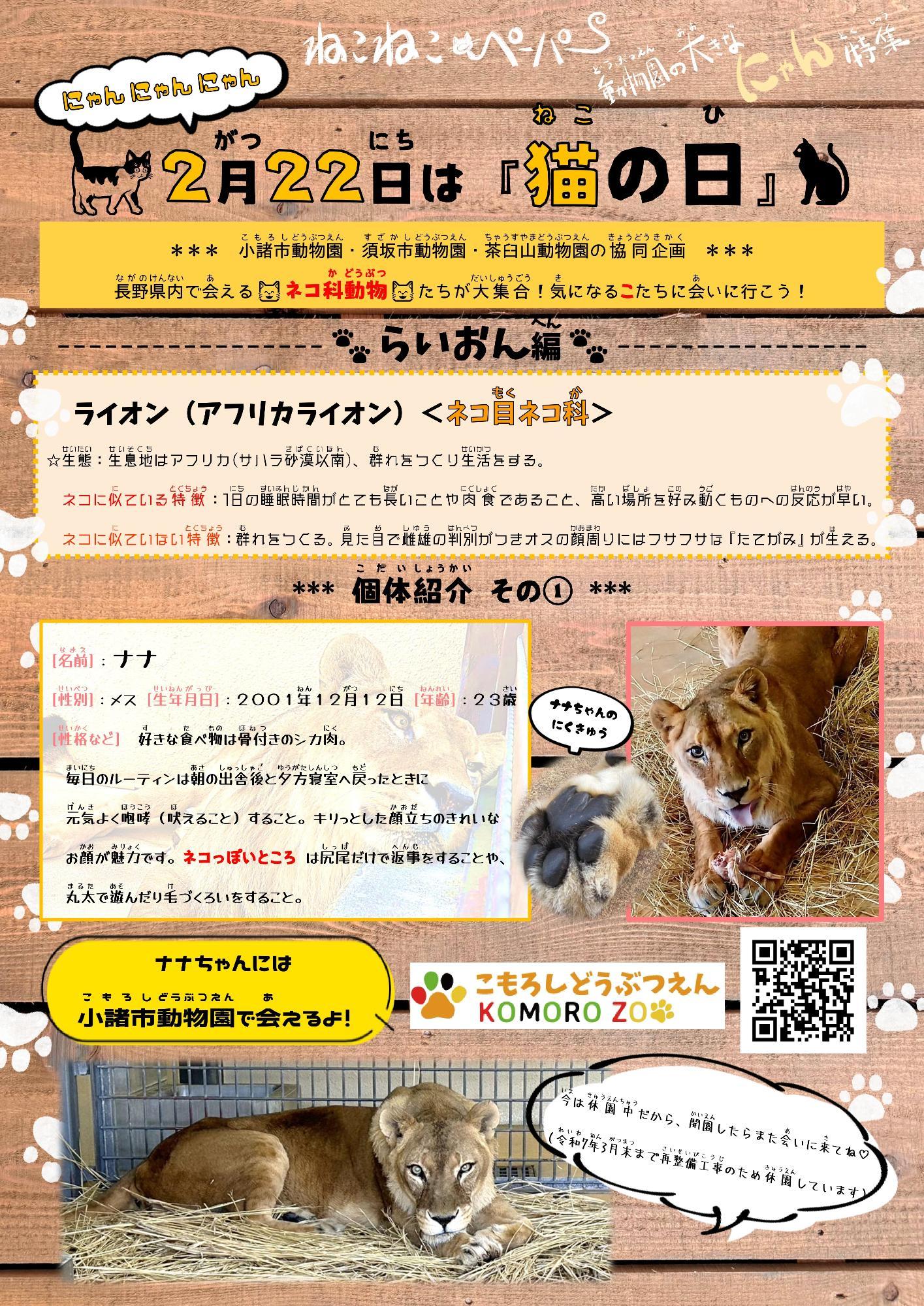 ねこねこペーパー1