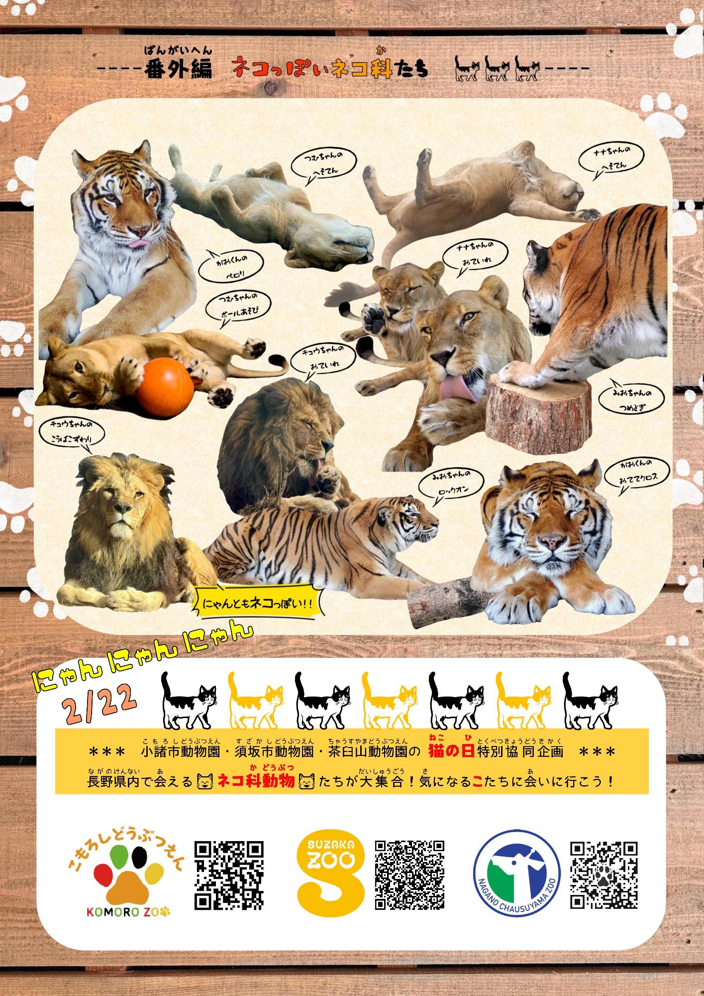 ねこねこペーパー番外編