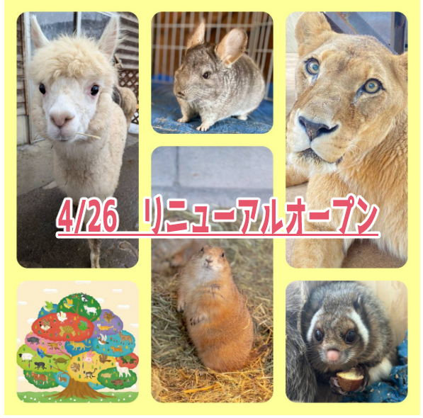 リニューアルオープン