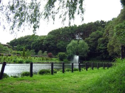 乙女湖公園の噴水の写真