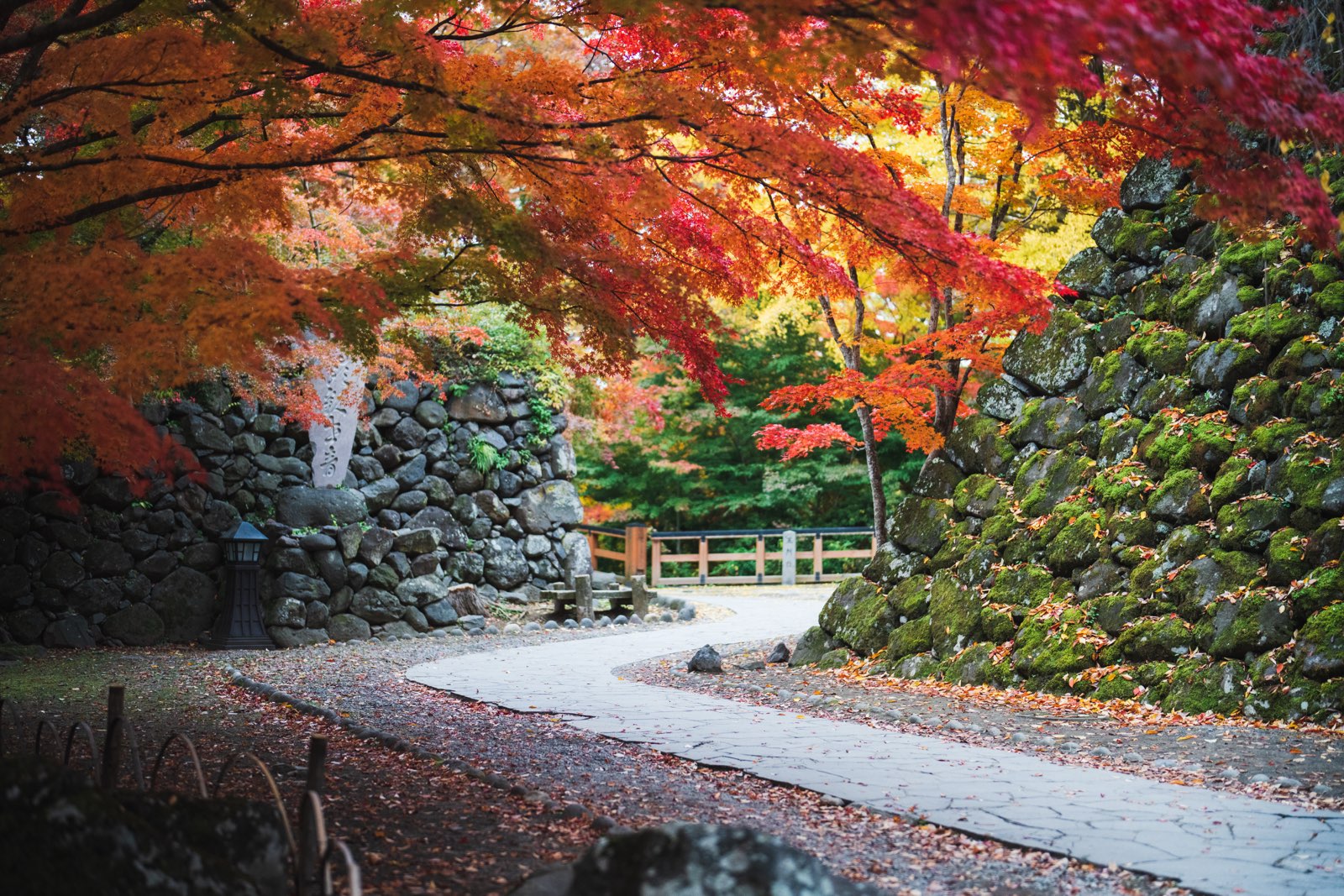 naganokennmeisyoukaikoenn