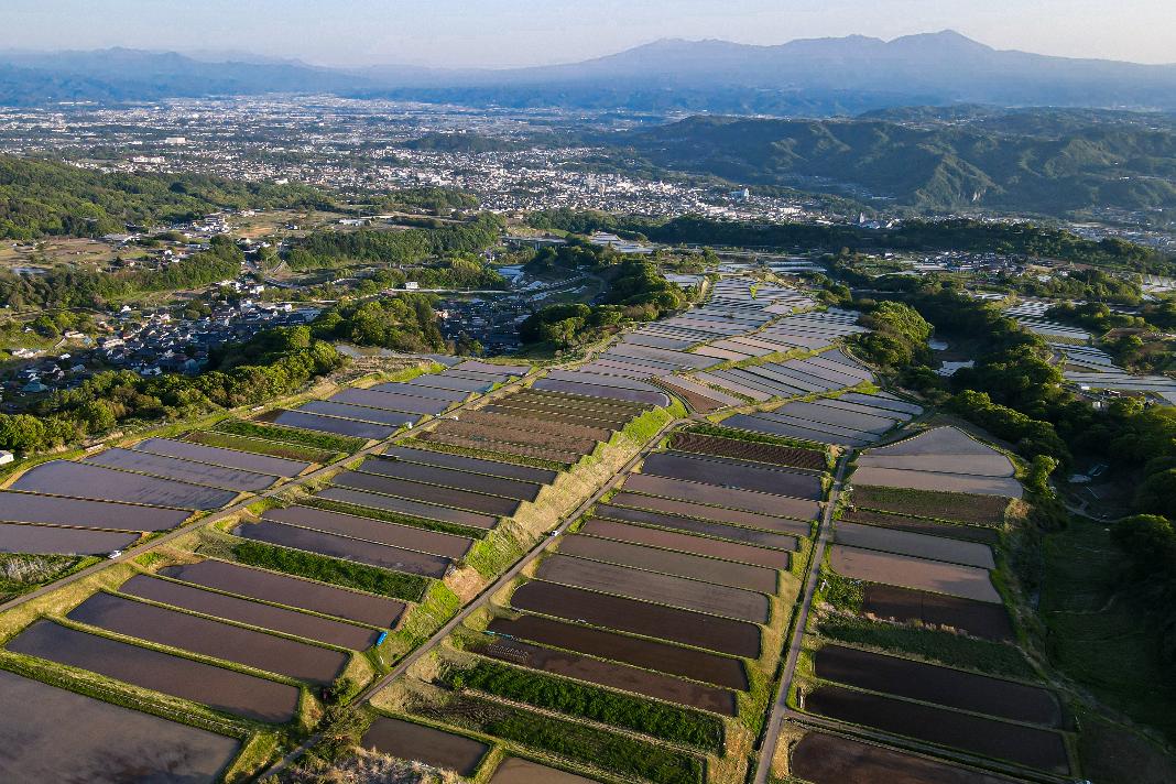 2025年5月ホームページトップ画像 棚田