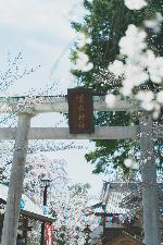 懐古神社（縦版）