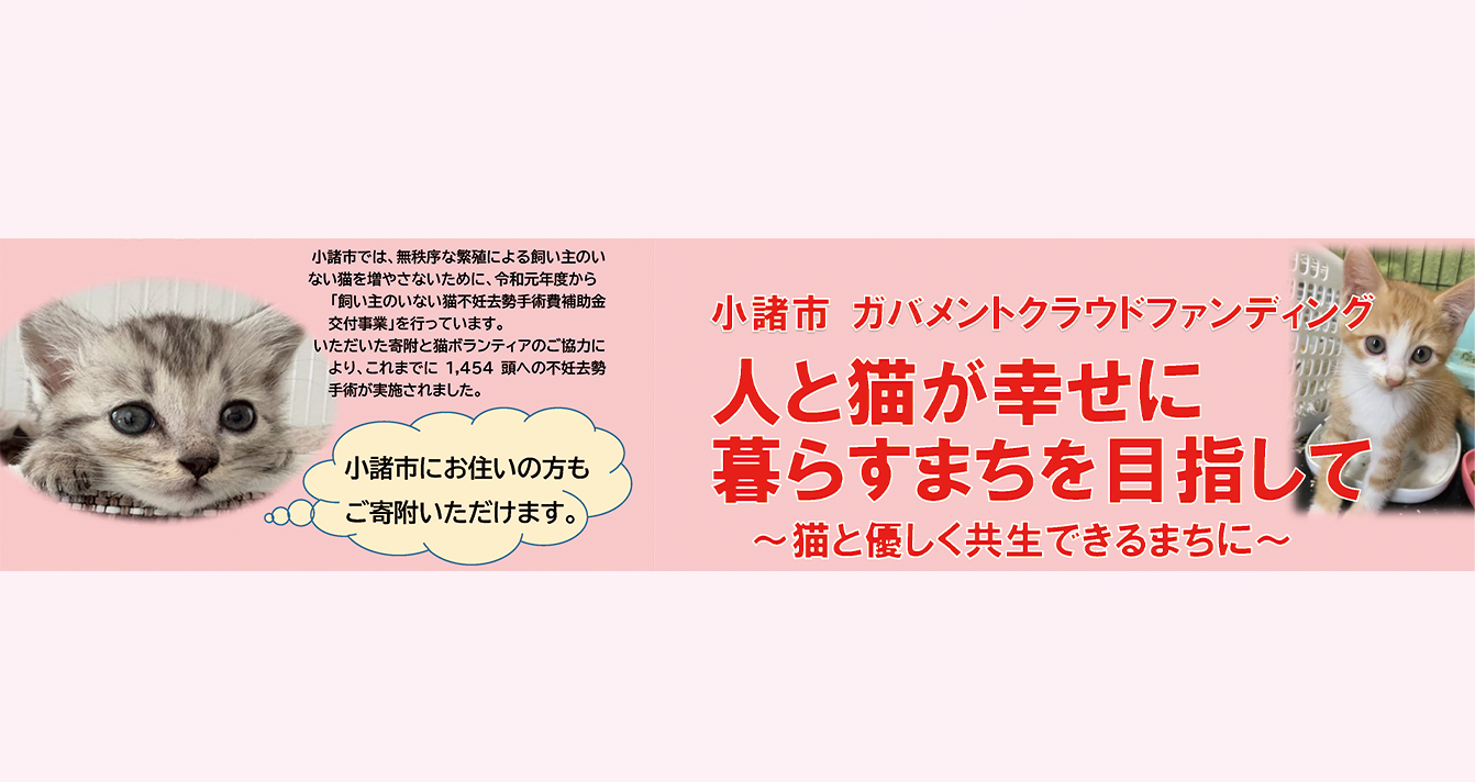 猫クラファン背景画像