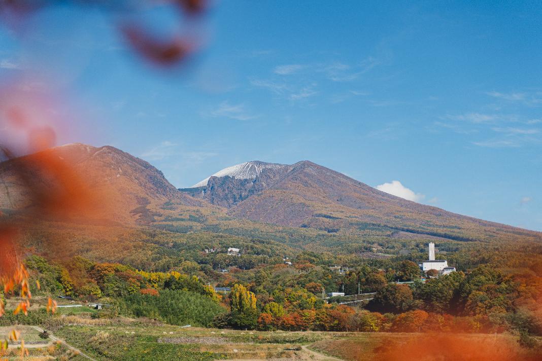 小諸市ホームページオフィシャル画像 紅葉