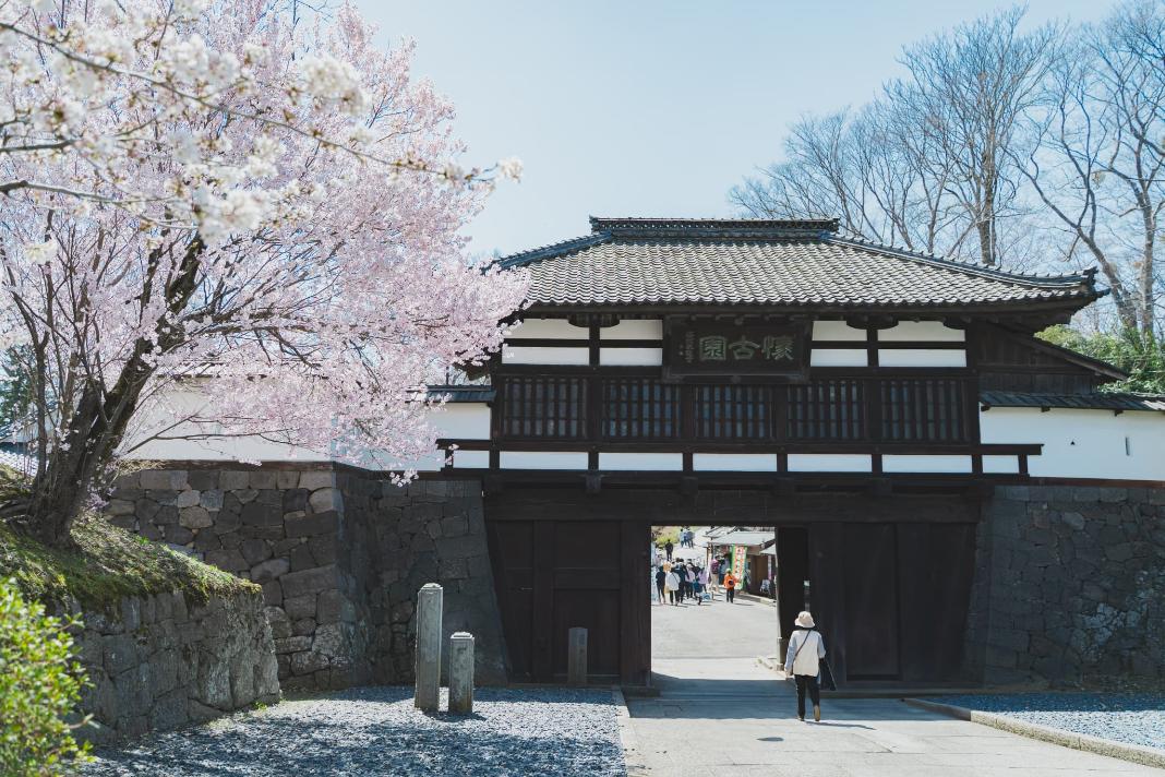小諸市オフィシャル画像  春の懐古園