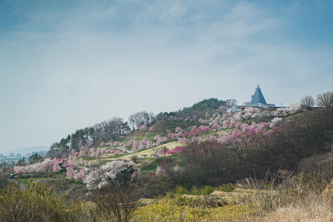 小諸市ホームページトップ画像 春の飯綱山公園