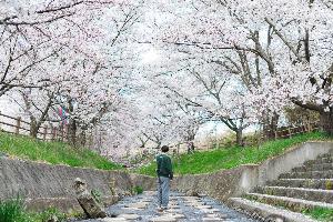 花川親水公園（横版）