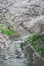 花川親水公園（縦版）
