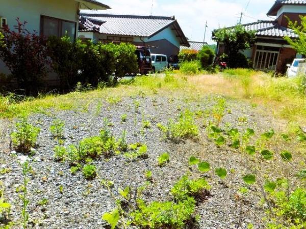  中央エリア