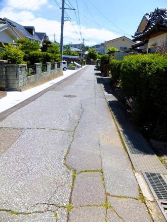  中央エリア