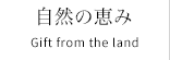 自然の恵み Gift from the land