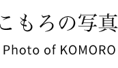 こもろの写真 Photo of KOMORO