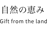 自然の恵み Gift from the land